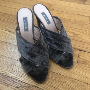 SJP velvet mules!
